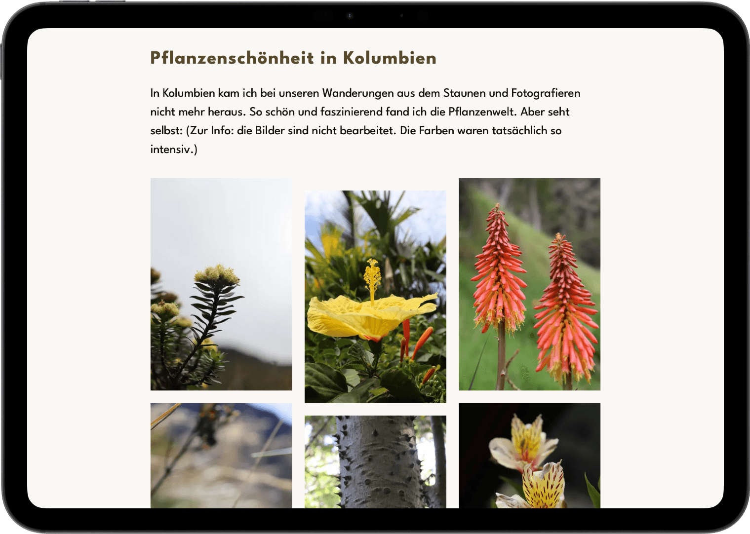 Lawettkampf auf einem iPhone-Bildschirm